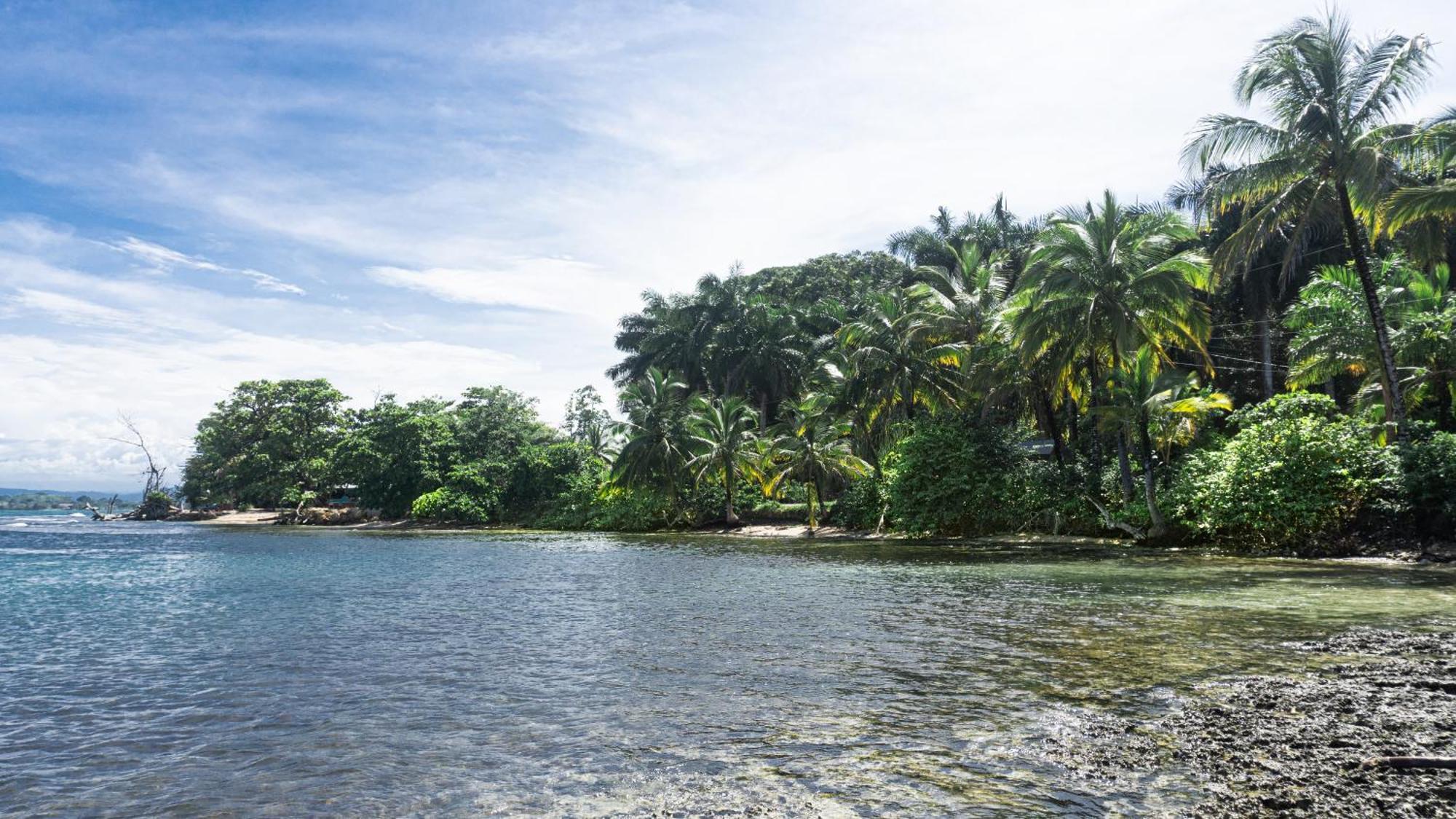 Bocas Garden Lodges Bocas del Toro Exterior foto