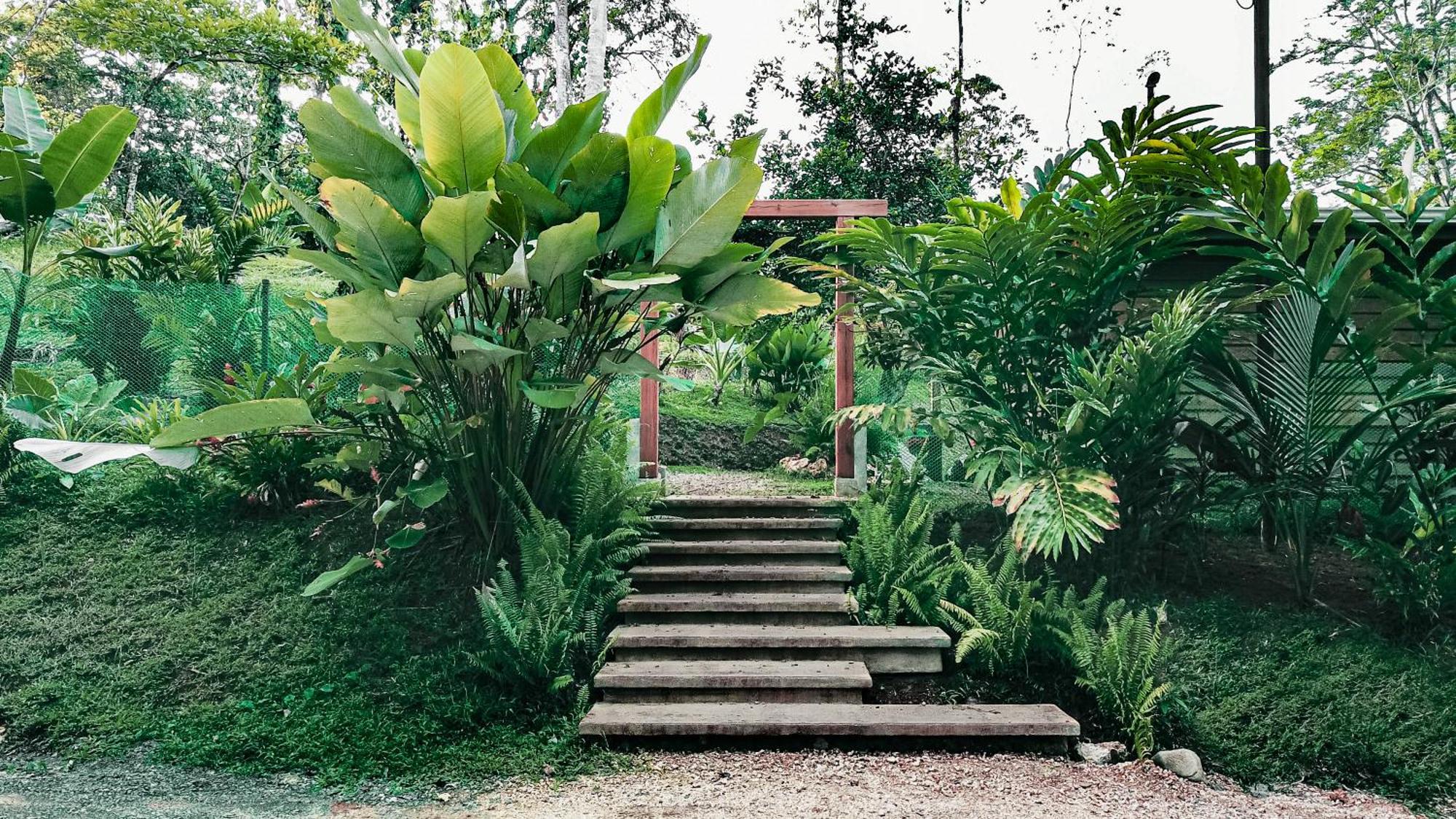 Bocas Garden Lodges Bocas del Toro Exterior foto